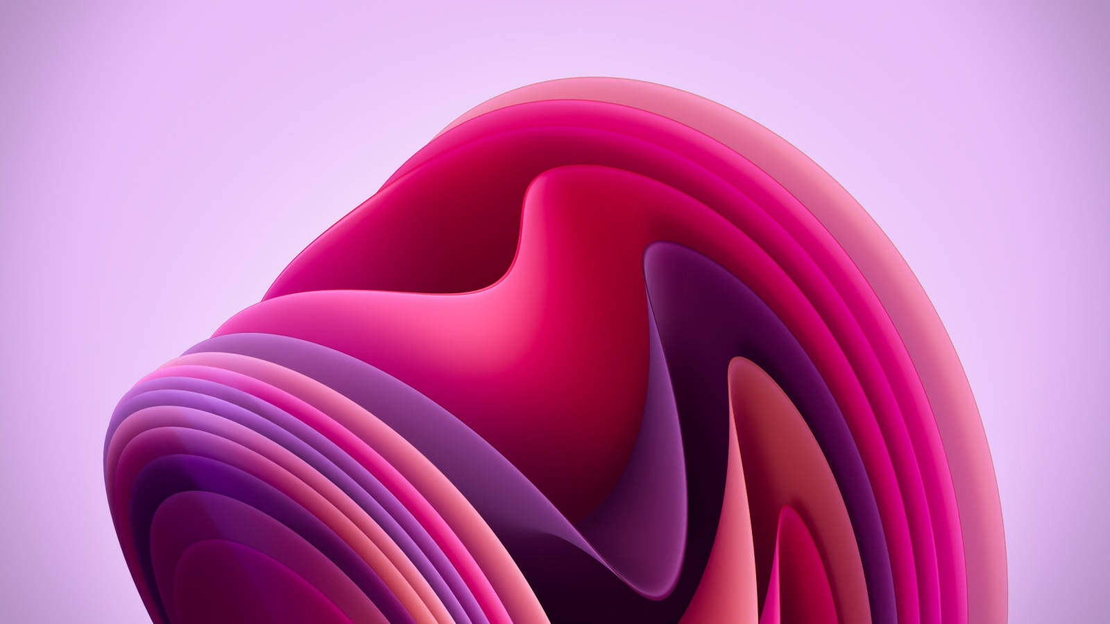 Windows 11 Purple Bloom Wallpaper