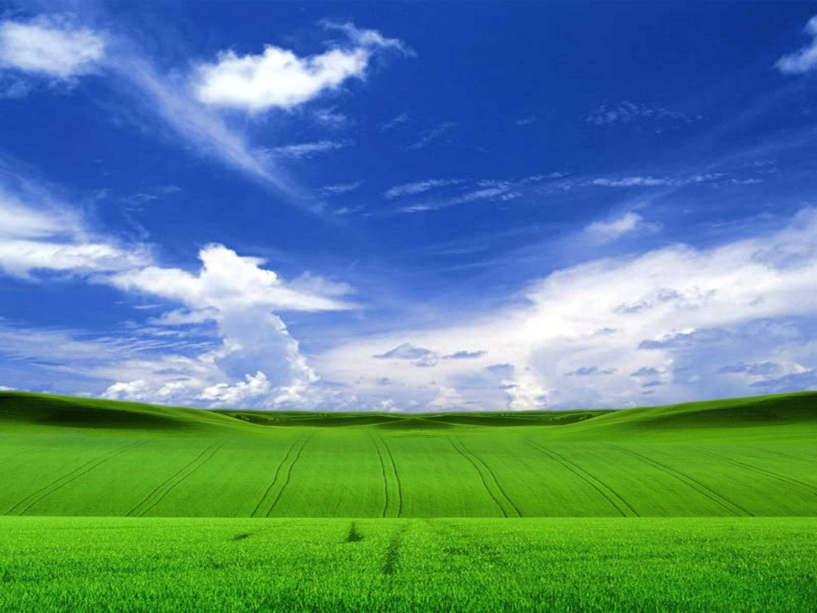 Windows Xp Bliss Field Wallpaper