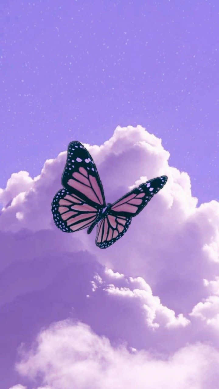 Wings Of Beauty Wallpaper