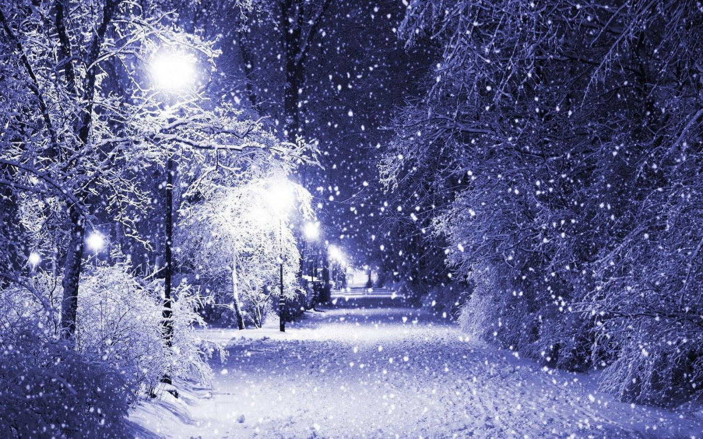 Winter Scene Snowing Wallpaper