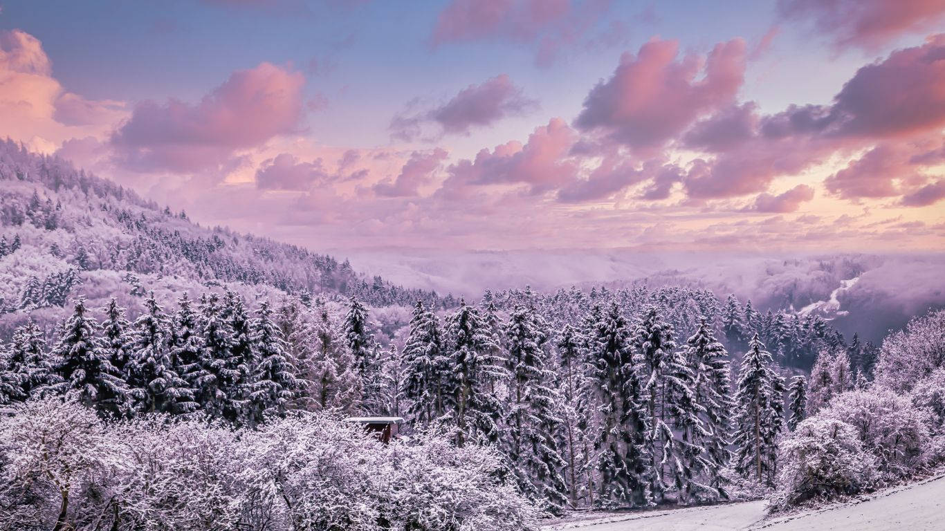 Winter View From A Hilltop Wallpaper