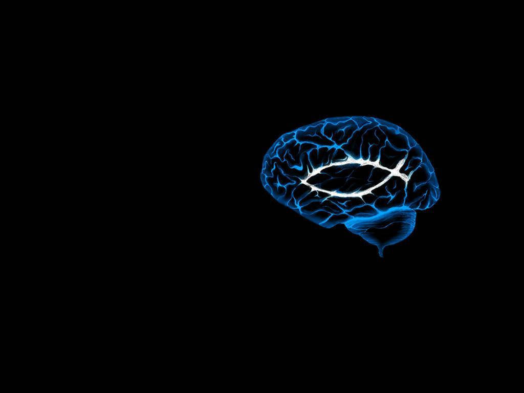 Wise Brain Outline Black Background Wallpaper