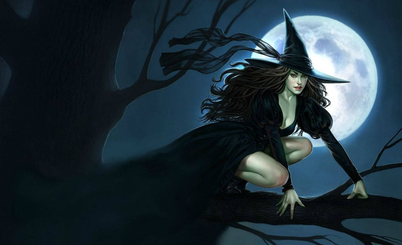 Witch On Tree Branch Wallpaper