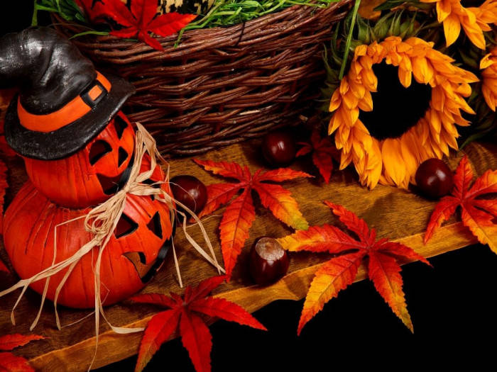 Witch Pumpkin Fall Halloween Wallpaper