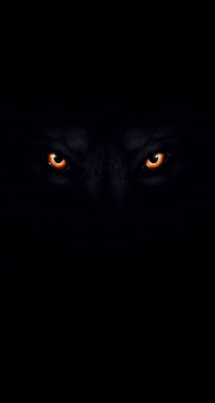 Wolf Eyes In Color Black Background Wallpaper