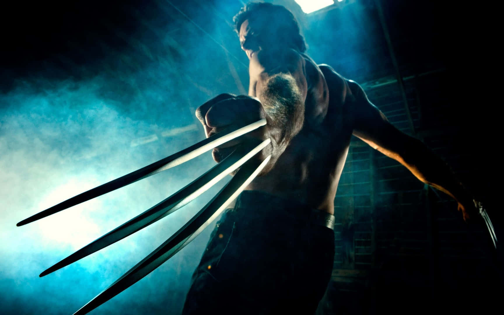 Wolverine In Battle Wallpaper