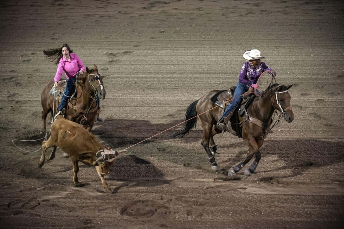 Woman And Man Team Roping Wallpaper