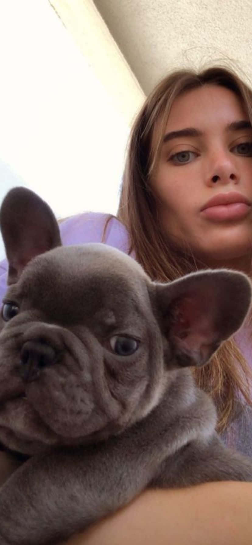 Womanand French Bulldog Selfie Wallpaper