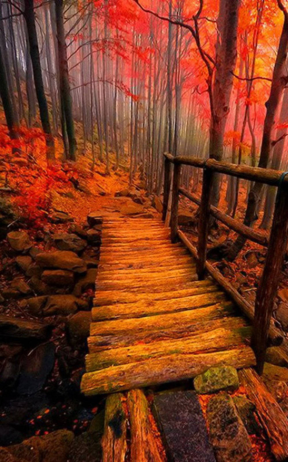 Wooden Bridge In Autumn Phone Wallpaper