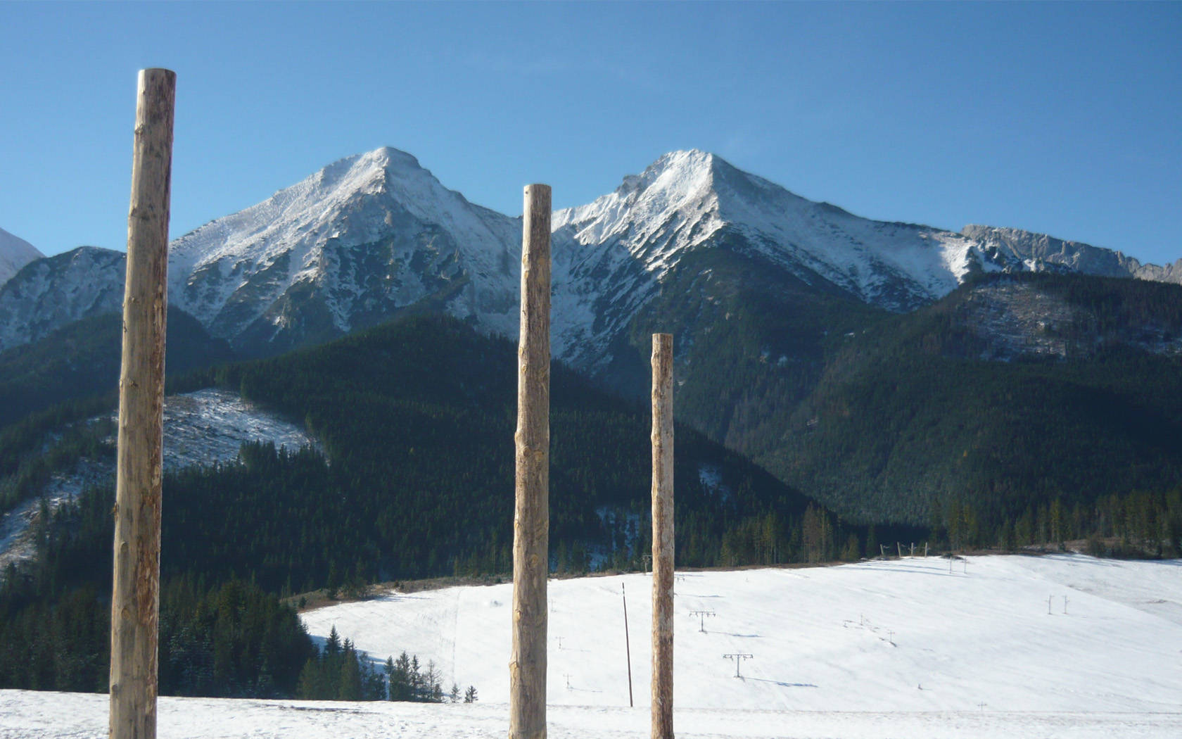 Wooden Poles In Slovakia Land Wallpaper