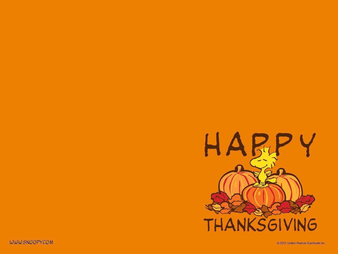 Woodstock Peanuts Thanksgiving Wallpaper