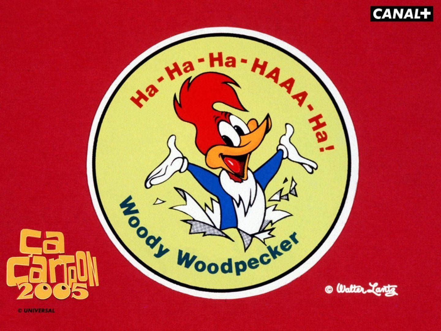 Woody Woodpecker Hd Wallpaper And Background Image Wallpaper