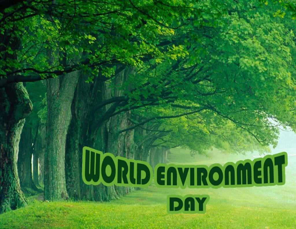 World Environment Day Green Forest Trees Wallpaper