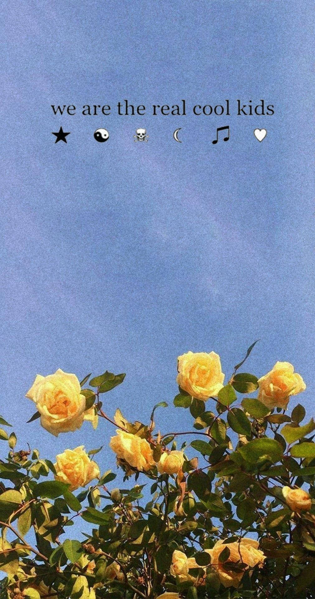 Yellow Roses Blue Aesthetic Tumblr Wallpaper