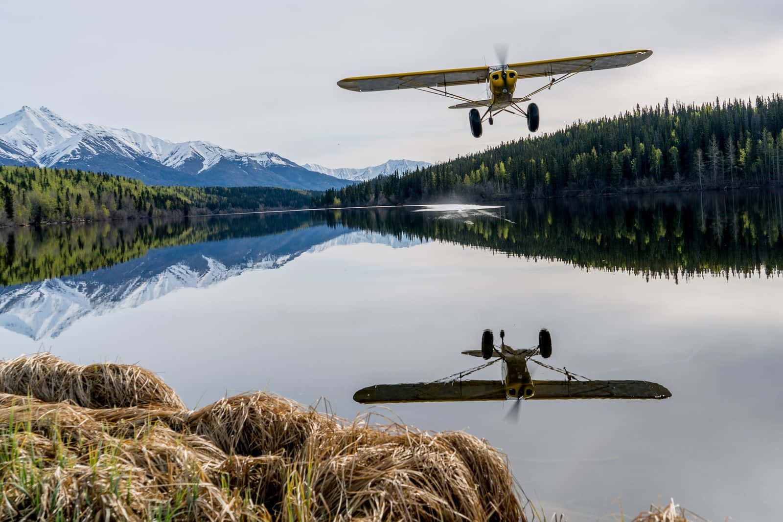 Yellow Small Airplane Over Lake Wallpaper