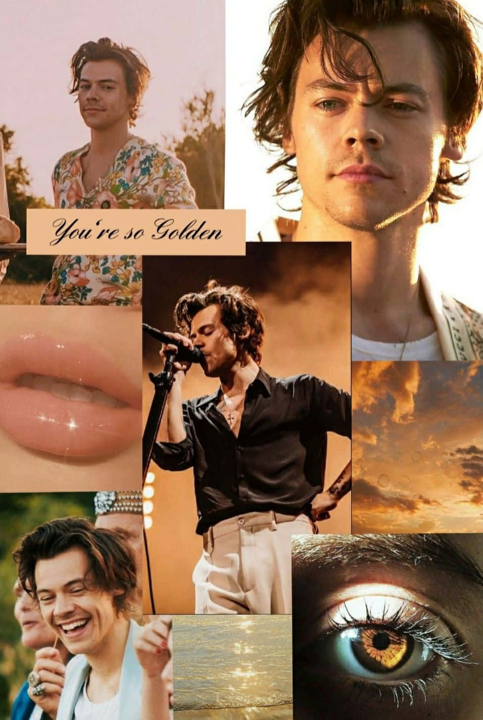 You're So Golden Harry Styles Collage Wallpaper