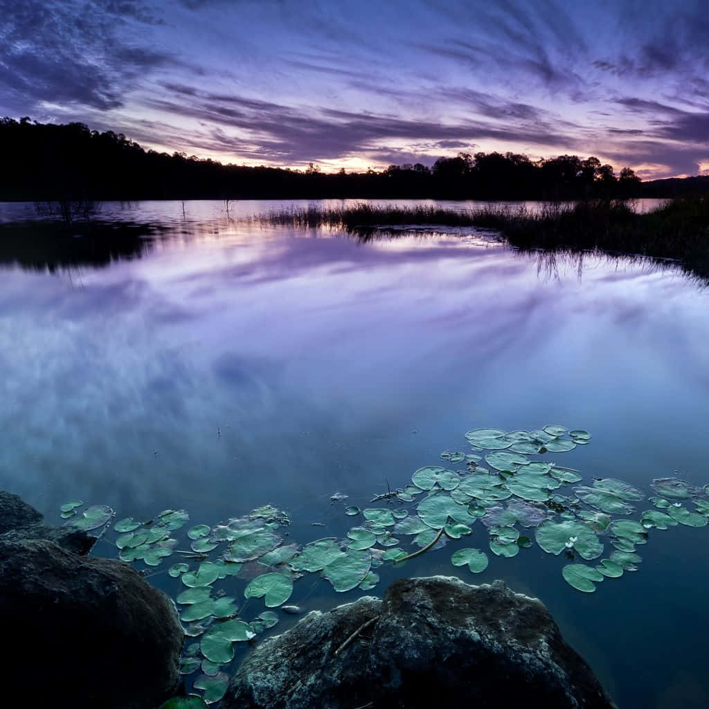 Zen Desktop Lakeside View Wallpaper