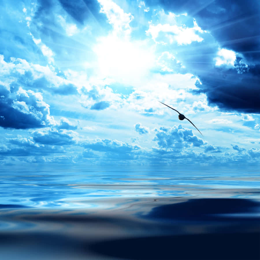 3000x3000 Blue Ocean View Wallpaper