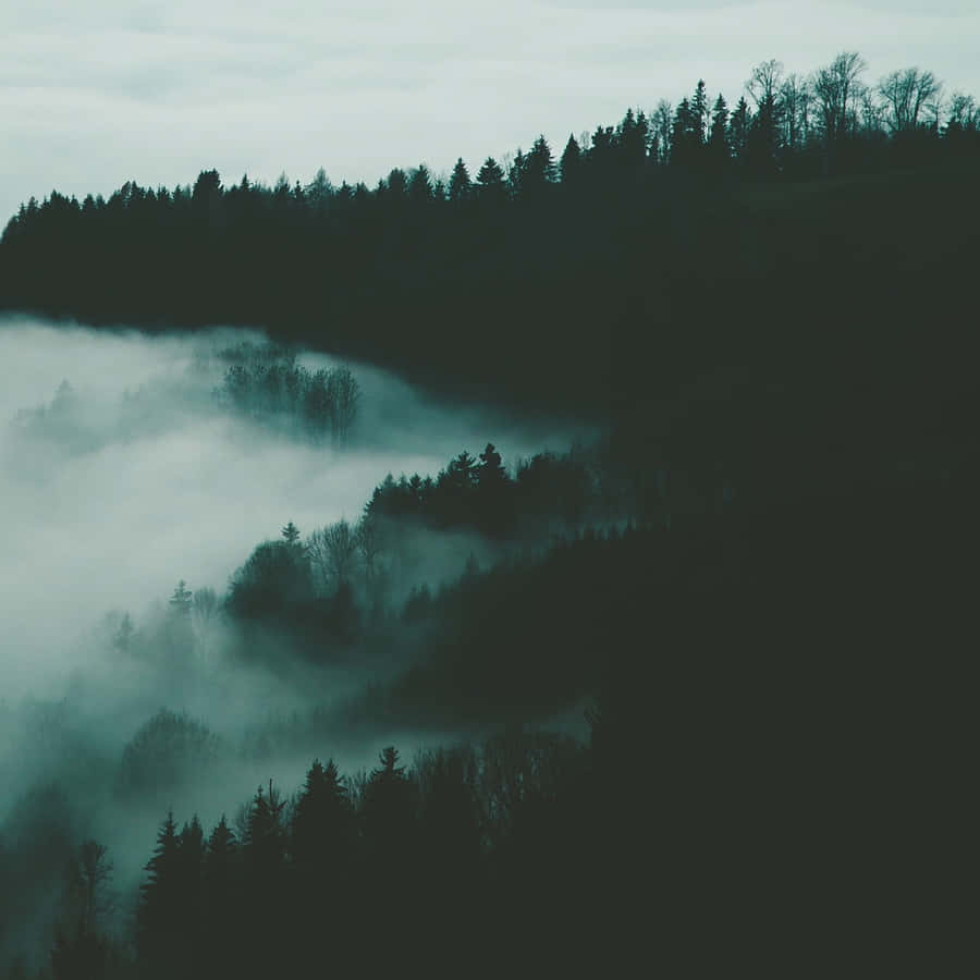 3000x3000 Silhouetted Foggy Mountain Wallpaper