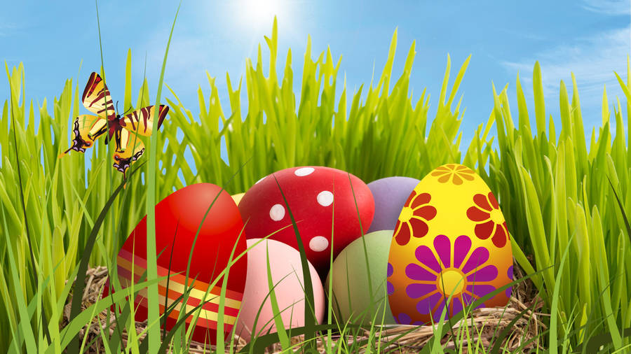 Download Free 4k Green Grass With Easter Eggs Wallpaper - Mrwallpaper.com