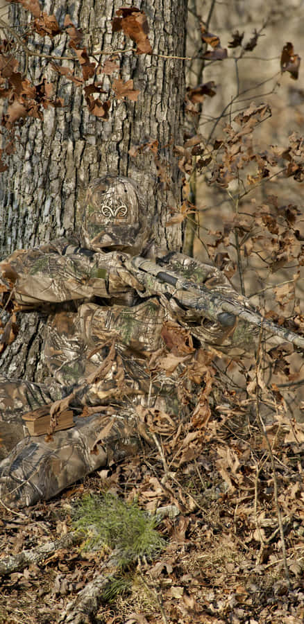 A Bear Is Sitting On A Log Wallpaper