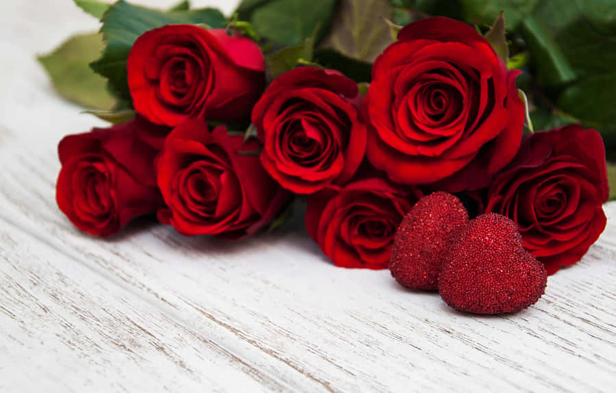A Beautiful And Vibrant Rose From Nature Wallpaper
