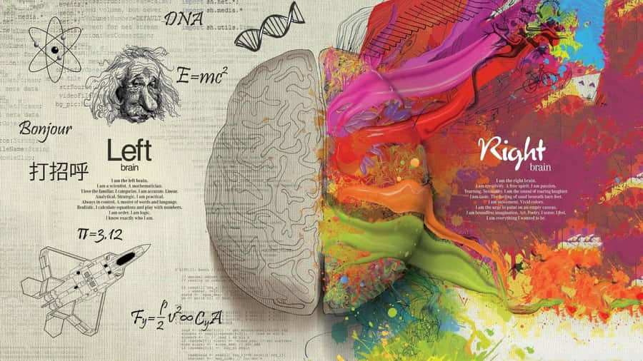 Download free A Brain With A Colorful Background And A Colorful Brain