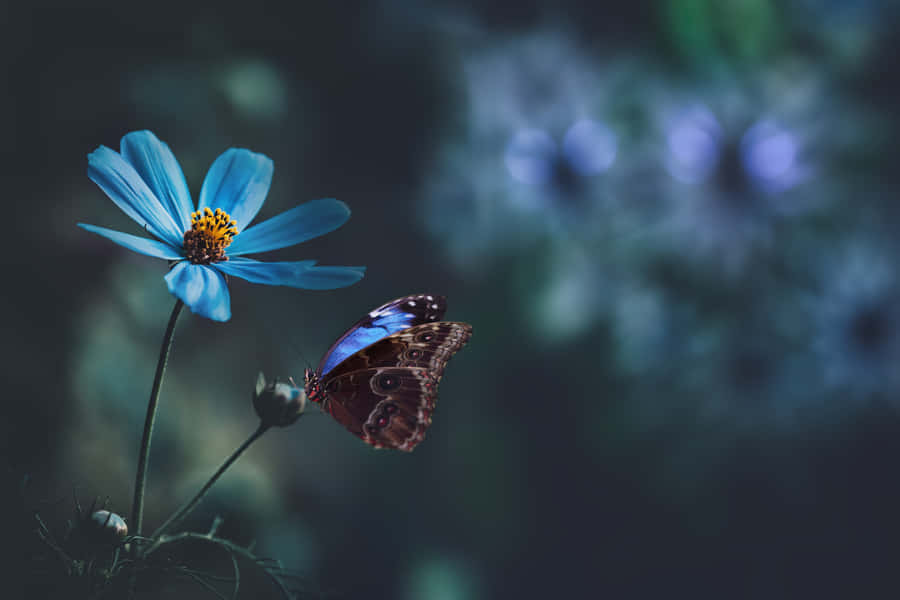 A Bright, Vibrant Blue Flower With A Subtle Green Background Wallpaper