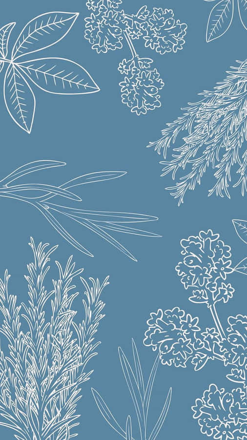 A Bright Yellow Simple Flower Captures The Warm Feeling Of Sunny Days. Wallpaper