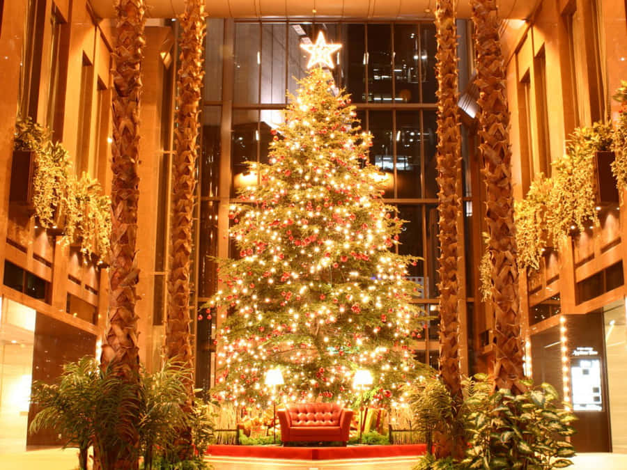 A Christmas Tree In A Lobby Wallpaper