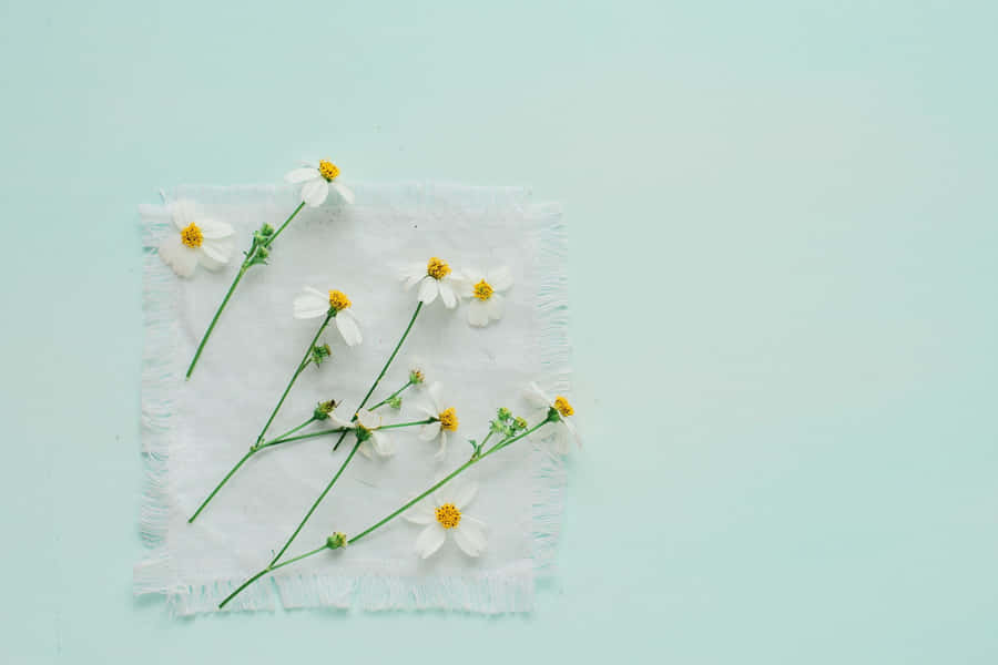 A Close Up Of A Minimalist Flower Wallpaper