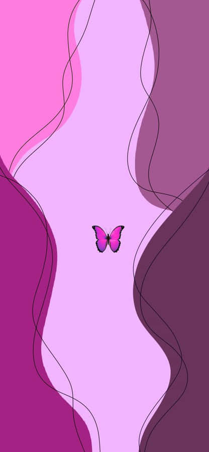 A Colorful Butterfly In Nature. Wallpaper