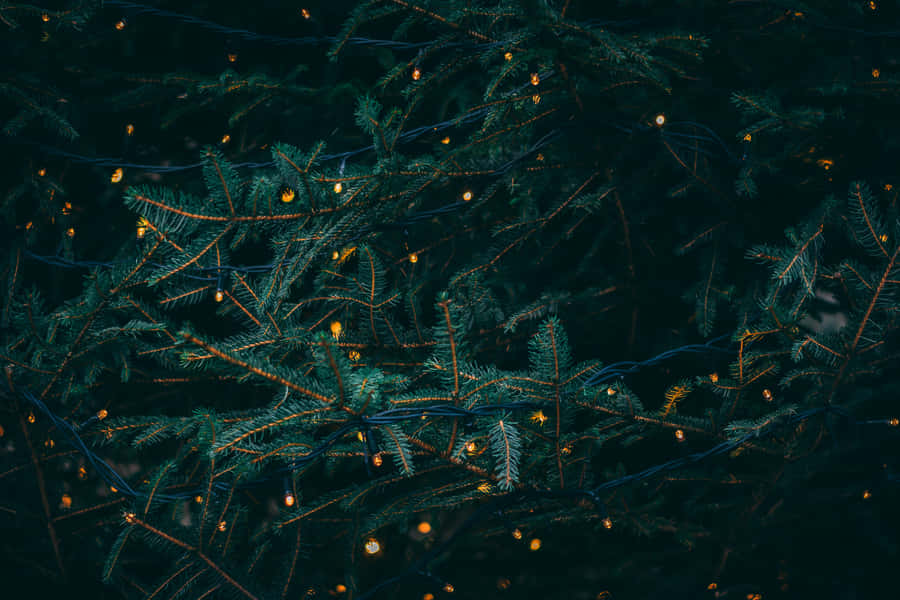 A Cozy And Beautiful Christmas Night Wallpaper