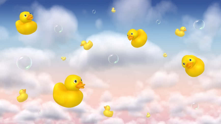 Sunny Rubber Duck