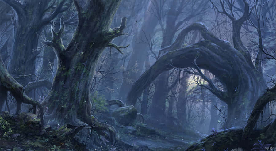 A Dark Forest With Trees And A Path Wallpaper