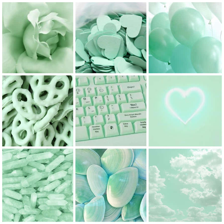 A Delicate And Soothing Pastel Mint Green Wallpaper. Wallpaper