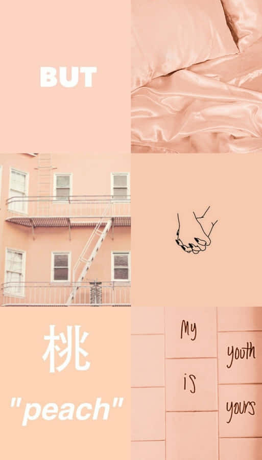 A Deliciously Classic Vintage Peach Wallpaper