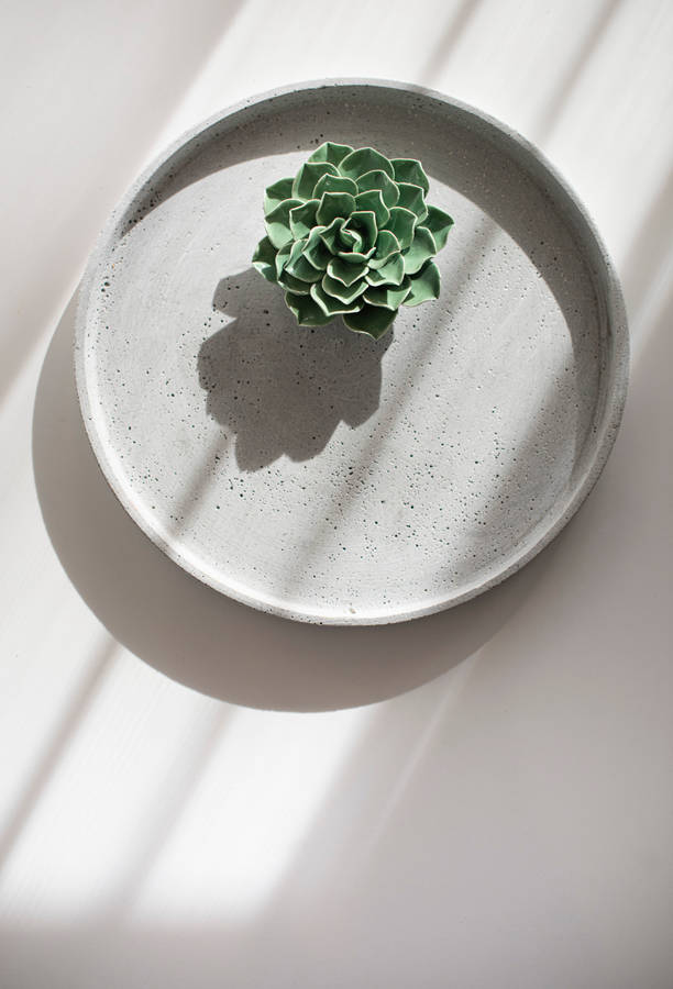 A Garden Of Succulent Plants For A Green Aesthetic. Wallpaper