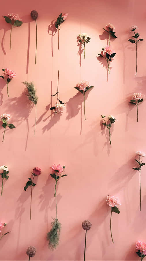 A Light Pink Iphone For The Sophisticateda Wallpaper