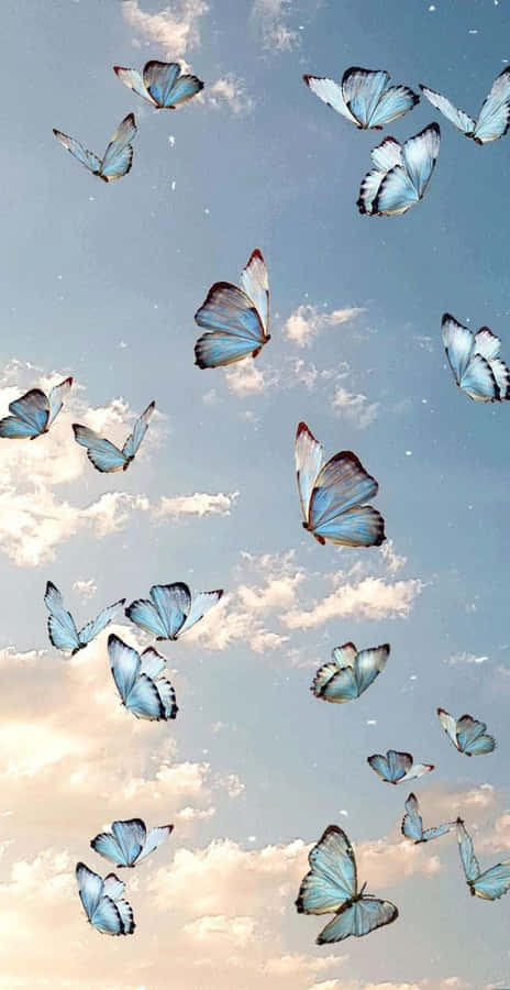 A Magical, Cool Butterfly Captivatingly Sitting On A Flower. Wallpaper