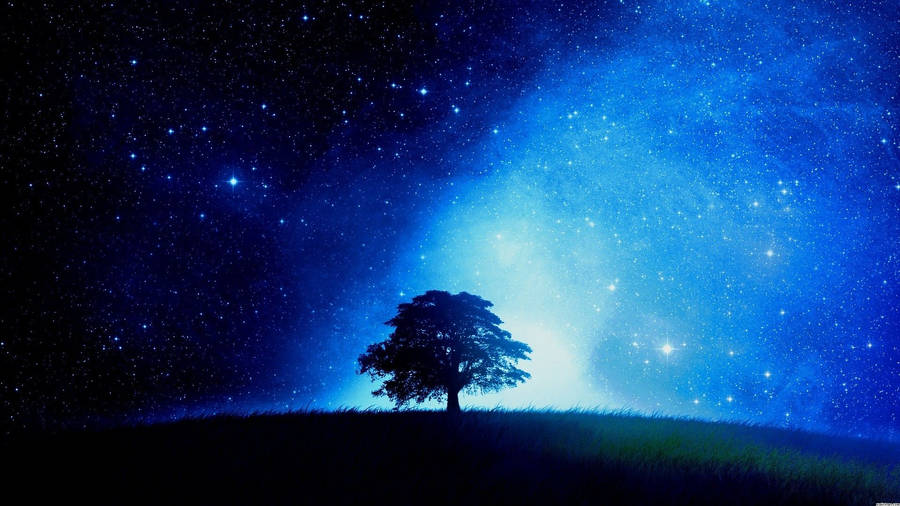 A Magical Scene Of A Tree Under The Starry Night Sky Wallpaper