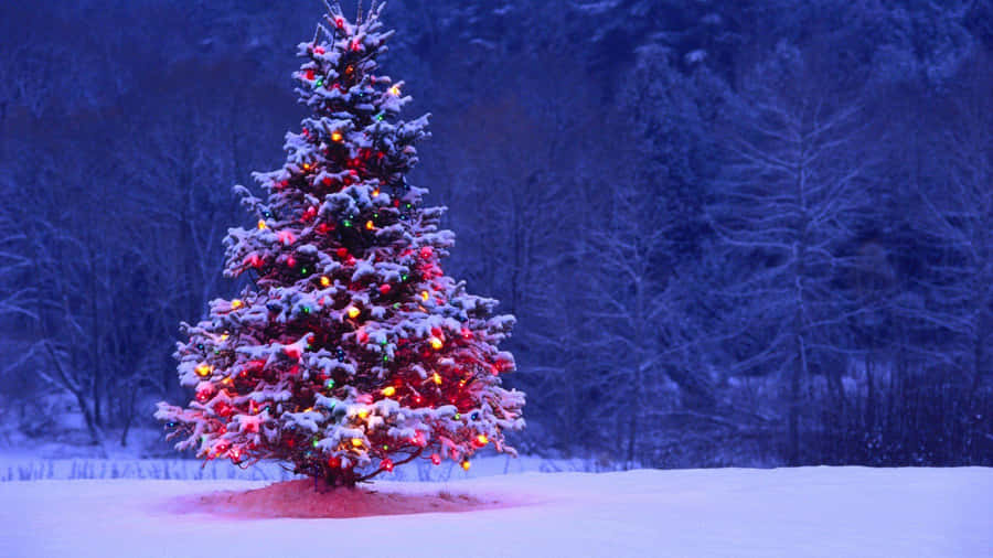 A Minimalist Aesthetic Tree To Brighten Your Holiday Season Wallpaper