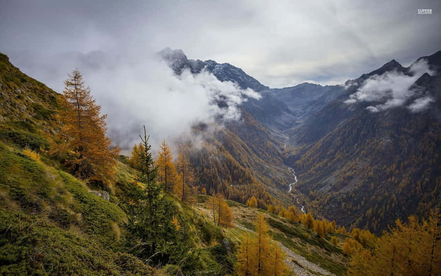 A Mountain Range With Trees And Clouds In The Background Wallpaper