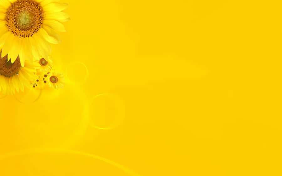 A Pastel Yellow Laptop In A Modern And Stylish Design Wallpaper
