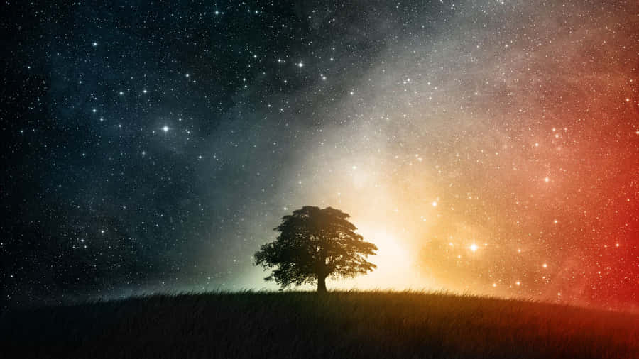 A Photo Of The Night Sky Filled With Beautiful Stars And A Mysterious Galaxy Wallpaper