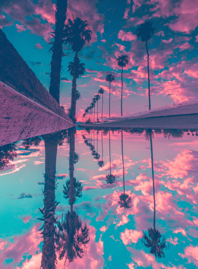 A Pink And Purple Sky With Palm Trees Reflected In The Water Wallpaper