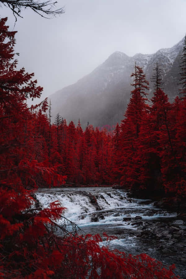 A Red Tree Reflecting Peaceful Resilience Against Harsh Environments Wallpaper