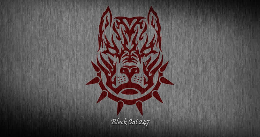 A Sleek And Friendly Black Pitbull Wallpaper