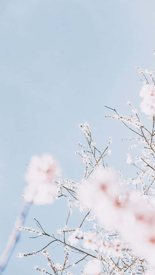 A Stunning Pastel Blue And Pink Wallpaper Wallpaper