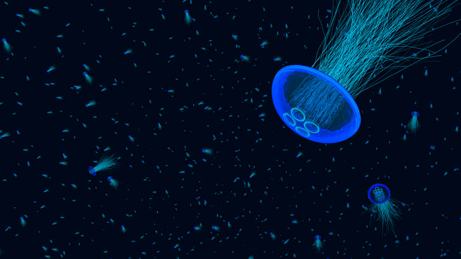 A Vibrant Pink Jellyfish Swimming In A Sea Of Blue Wallpaper